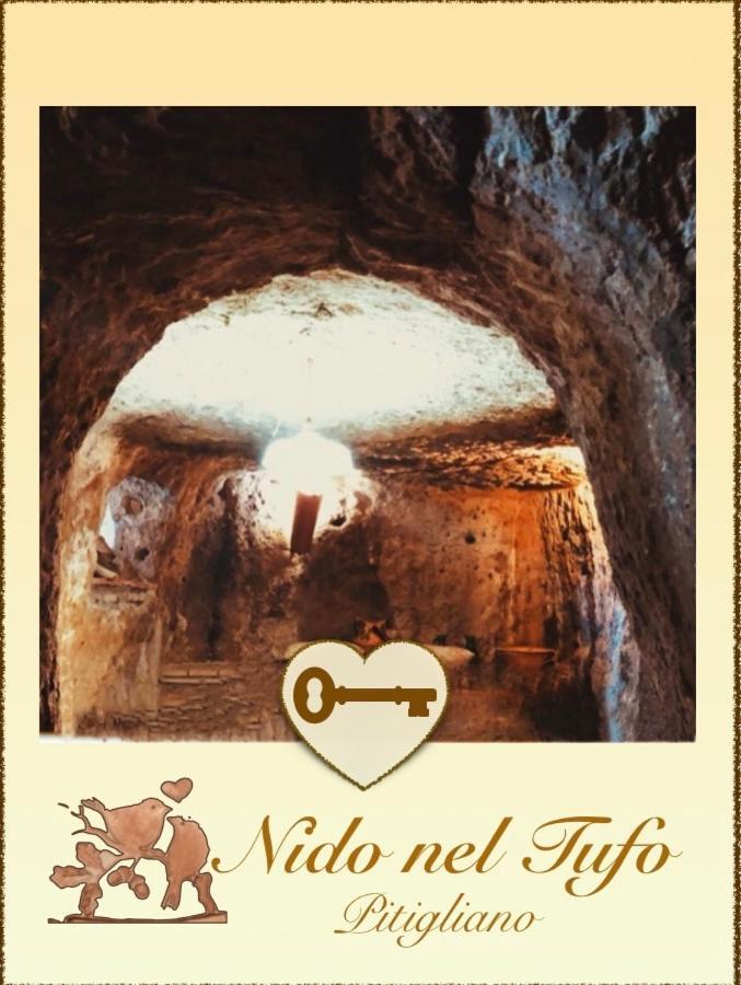 Appartamento Nido Nel Tufo Pitigliano Esterno foto
